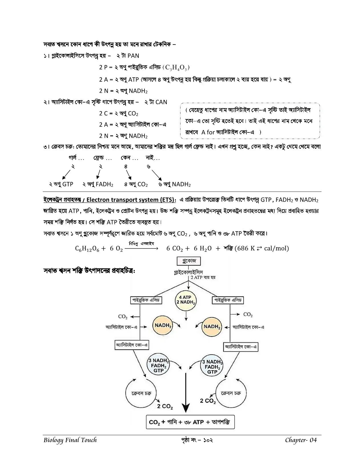 Preview Image 12
