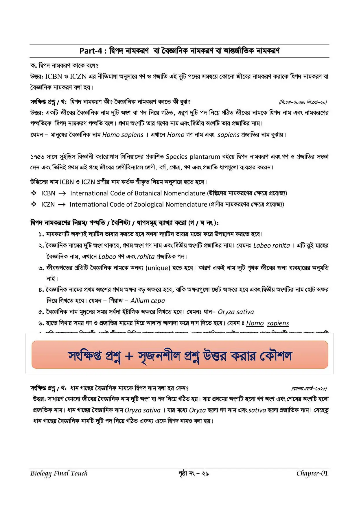 Preview Image 13