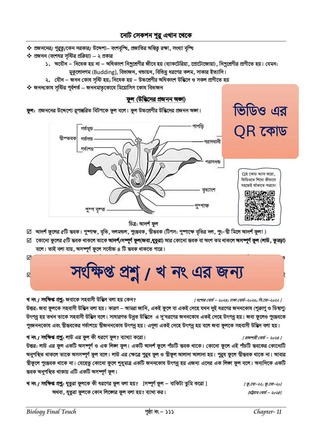 Preview Image 19