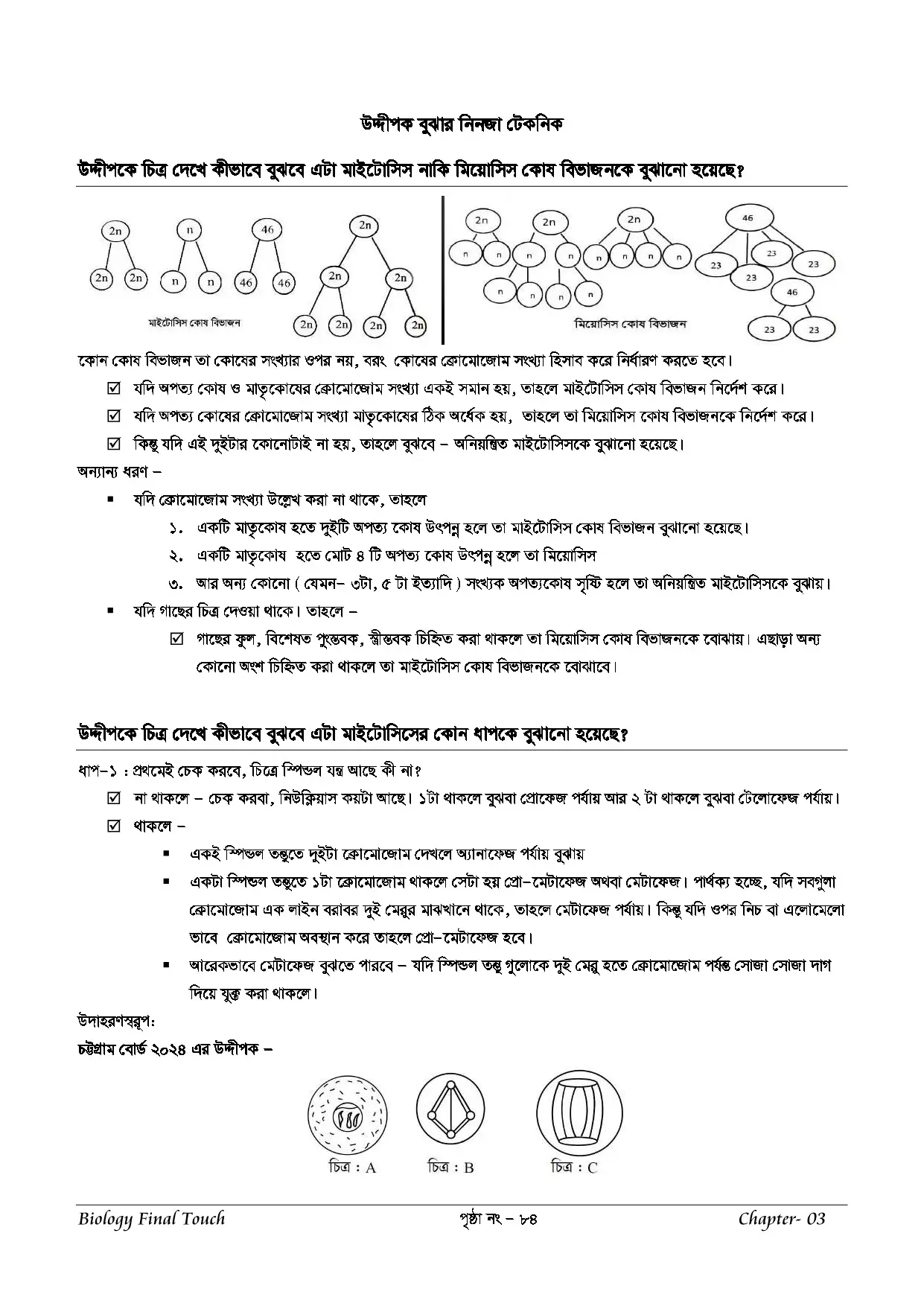 Preview Image 20