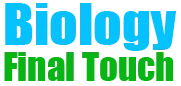Biology Final Touch